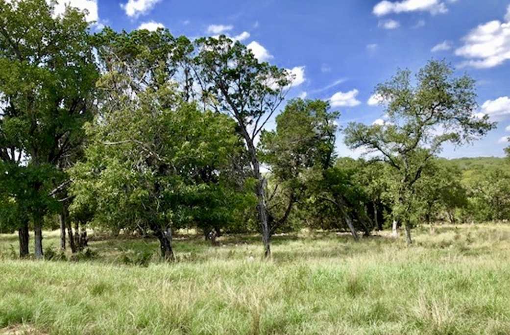 Lot 5B for Sale in the Springs of Cordillera Ranch